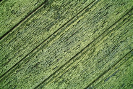 jplenio SDIM0023 big