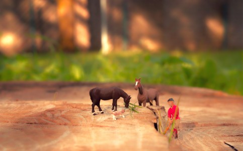 jplenio SDIM0457 opt big