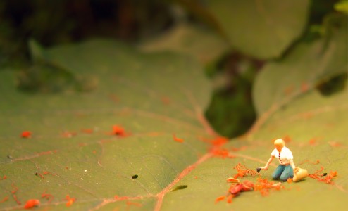 jplenio SDIM0498 opt big